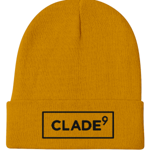 Yellow-Black Beenie